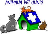 Animalia Vet Clinic logo