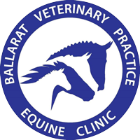 Ballarat Veterinary Practice - Equine Clinic logo