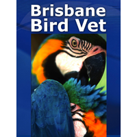 Brisbane Bird Vet logo