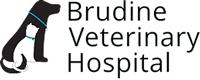 Brudine Veterinary Hospital logo