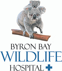 Byron Bay Wildlife Hospital logo