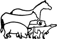 Kingaroy Veterinary Surgery logo