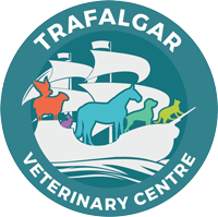 Newborough Veterinary Centre logo