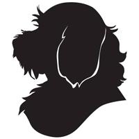 Noosa Village Vet logo