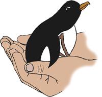 Penguin Veterinary Centre logo