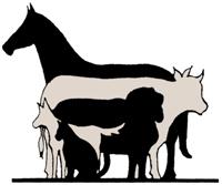 St George Veterinary Practice logo