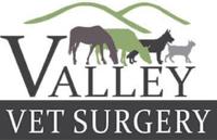 Valley Vet Surgery logo