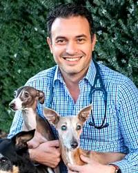 Dr Adam  Stefani Mornington Veterinary Clinic Mornington