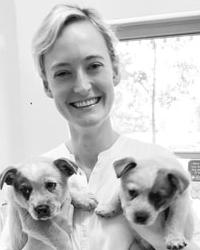 Dr Alex  McGrath Glebe Vet Glebe