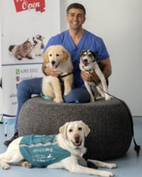 Dr Ali  Ashrafi Capital Veterinary Hospital Phillip