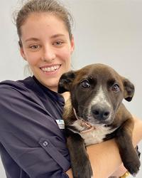 Dr Alicia  van Arkel Beach and Bay Vet Empire Bay