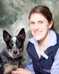 Dr Alison Moore Bellarine Veterinary Practice - Newcomb Newcomb