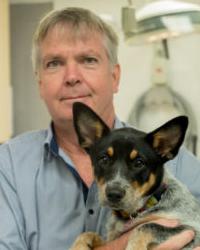 Dr Alistair  Graham-Evans Western Suburbs Veterinary Clinic Kirwan