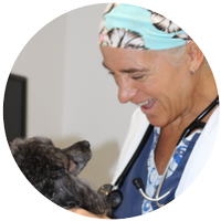 Dr Amanda L Wood Windan’Sea Veterinary Hospital Forster