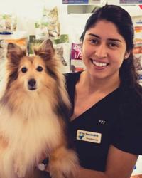 Dr Amy Menendez Booval Veterinary Hospital Booval