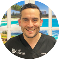 Dr Andres Townsend The Vet Lounge Coomera Upper Coomera