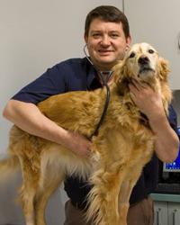 Dr Andrew  Redmond Beaumaris Veterinary Hospital Beaumaris