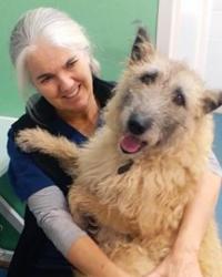 Dr Angela  Brady Wallsend Vet Newcastle Wallsend