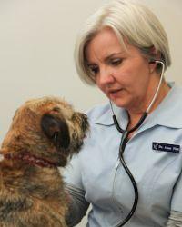 Dr Anna  Platt Middle Brighton Veterinary Centre Brighton