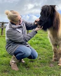 Dr Annemarie Kemmink AK&K Equine Services Miners Rest