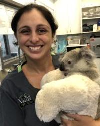 Dr Annie  D'Netto Valley Vet Surgery Mackay