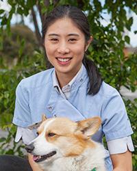 Dr Ashley  Lim Waverley Animal Hospital Mount Waverley