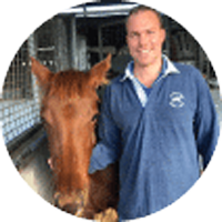 Dr Ashley Vermeulen HorsemedSA Morphettville Equine Clinic Glengowrie