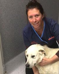 Dr Belinda  Adams Animal Clinic Maffra Maffra