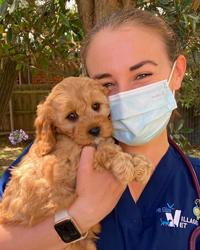 Dr Beth  Metcalfe Mt Eliza Village Vet Mount Eliza