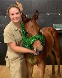 Dr Bethany Cole Golden Plains Equine Lethbridge