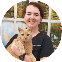 Dr Caitlin Ghent The Vet Lounge Ormeau Ormeau