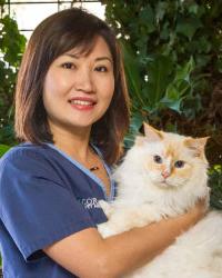 Dr Catherine Chen Gordon Veterinary Hospital Pymble