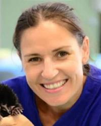 Dr Claire  Madden Byron Bay Wildlife Hospital Knockrow