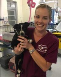 Dr Clare  Ferris Tamworth Veterinary Hospital Tamworth