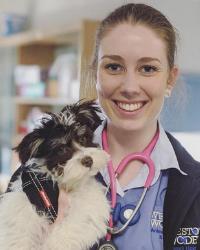 Dr Courtney  Streeter Weston Woden Animal Hospital Holder