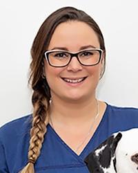 Dr Danielle Huston Animal Emergency Service - Sunshine Coast Tanawha