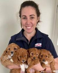 Dr Danika  Burns Valley Vet Surgery Mackay