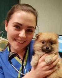 Dr Eimear McCrory Alexandria Veterinary Hospital Alexandria