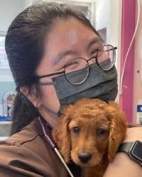 Dr Elicia Cheah Dr Paws Veterinary Clinic Altona North Altona North