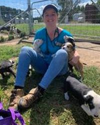 Dr Emma Tinslay Hartley Valley Vets Little Hartley