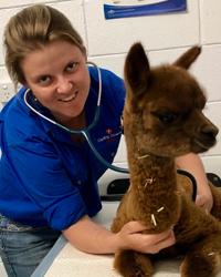 Dr Essie Houlden Darling Downs Vets - Oakey Vet Clinic Oakey