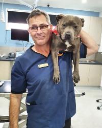 Dr Evan Kosack Lennox Head Vet Clinic Lennox Head,