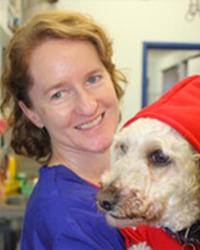 Dr Fiona  McKenzie Concord Veterinary Hospital North Strathfield