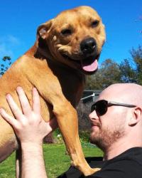 Dr Gareth  Turley Findon Veterinary Surgery Findon