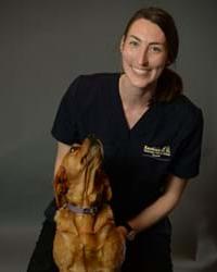 Dr Georgia  Wolff Kardinia Veterinary Clinic South Geelong