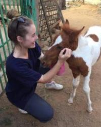 Dr Gracie  Naughton Broome Veterinary Hospital Djugun