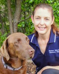 Dr Helen Tanzer Western Suburbs Veterinary Clinic Kirwan