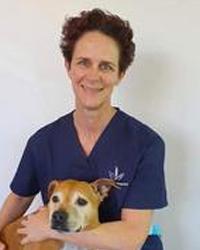 Dr Ingrid MO Martin Tea Gardens Veterinary Hospital Tea Gardens