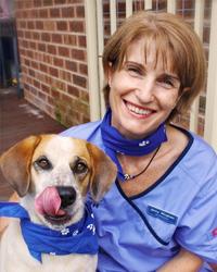 Dr Jenny  Wingham Mona Vale Veterinary Hospital Mona Vale