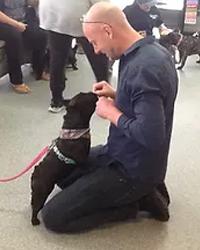 Dr Jeremy  Landsheer Belridge Veterinary Centre Beldon